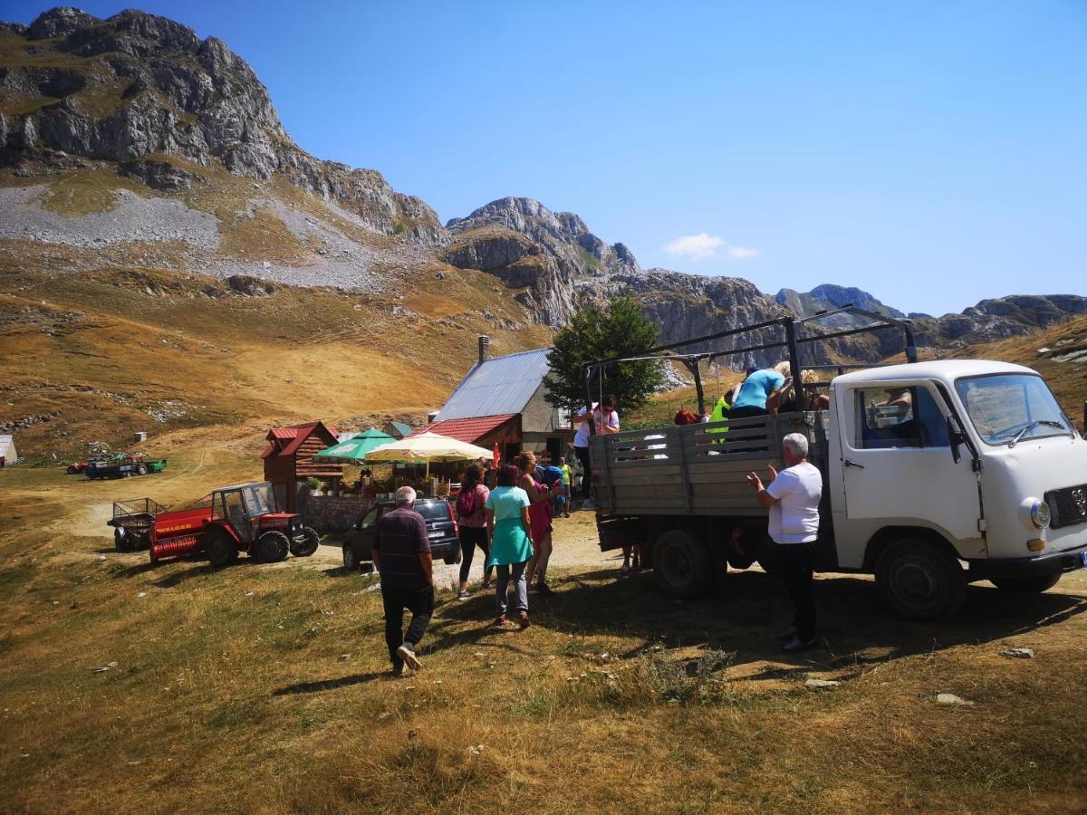 Rural Household Minic - Kapetanovo Jezero Vandrarhem Kolašin Exteriör bild
